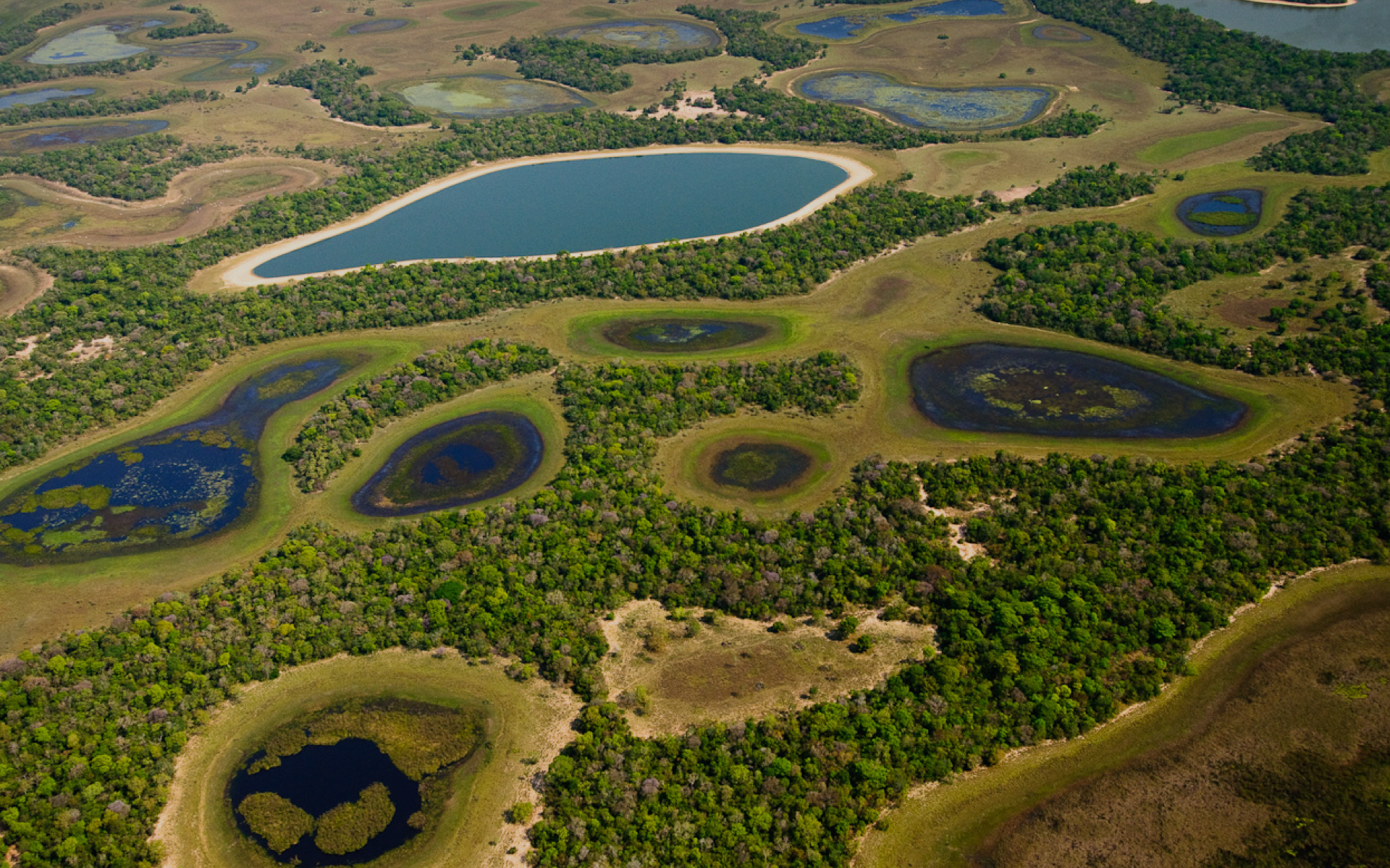O Pantanal é a maior área úmida do mundo é reconhecido pela Unesco como Patrimônio Natural da Humanidade e Reserva da Biosfera - Foto: SOS Pantanal