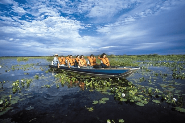 pantanal-patrimonio-natural-da-humanidade-pela-unesco